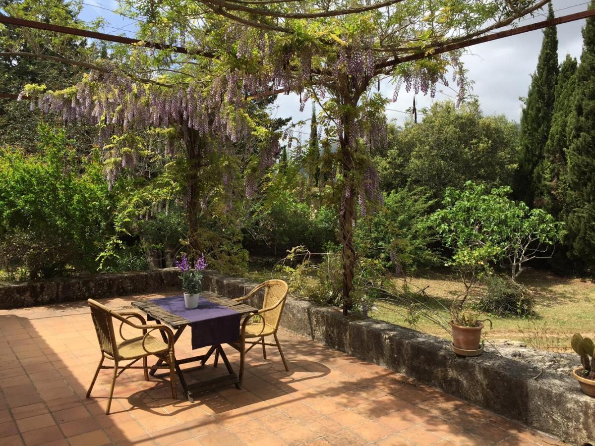 Finca Can Trui Teresa Pollença Exteriér fotografie